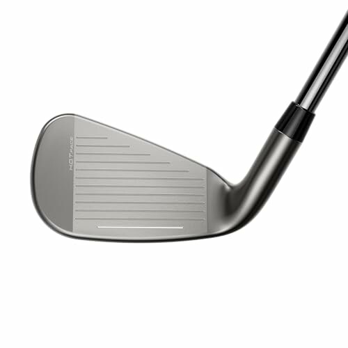 Close-up of a golf iron club head.